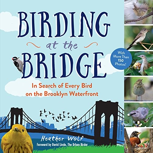Heather Wolf: Birding at the Bridge (Paperback, 2016, The Experiment)