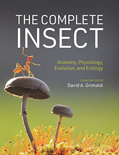 David A. Grimaldi: The Complete Insect (Hardcover, 2023, Princeton University Press)