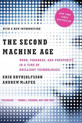Erik Brynjolfsson, Andrew McAfee: The Second Machine Age (2016)