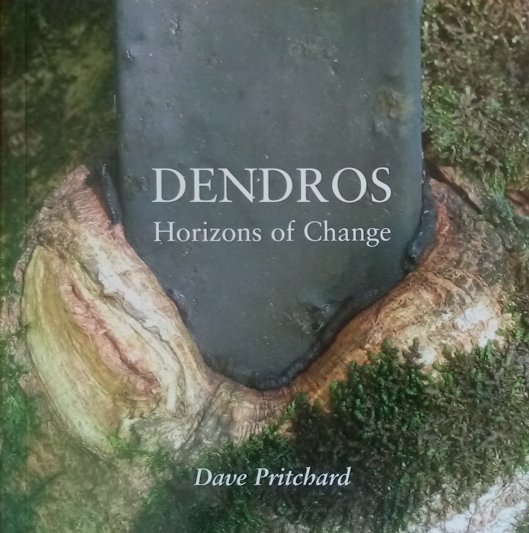 Dave Pritchard: Dendros (Paperback, english language, 2006, University College Falmouth)