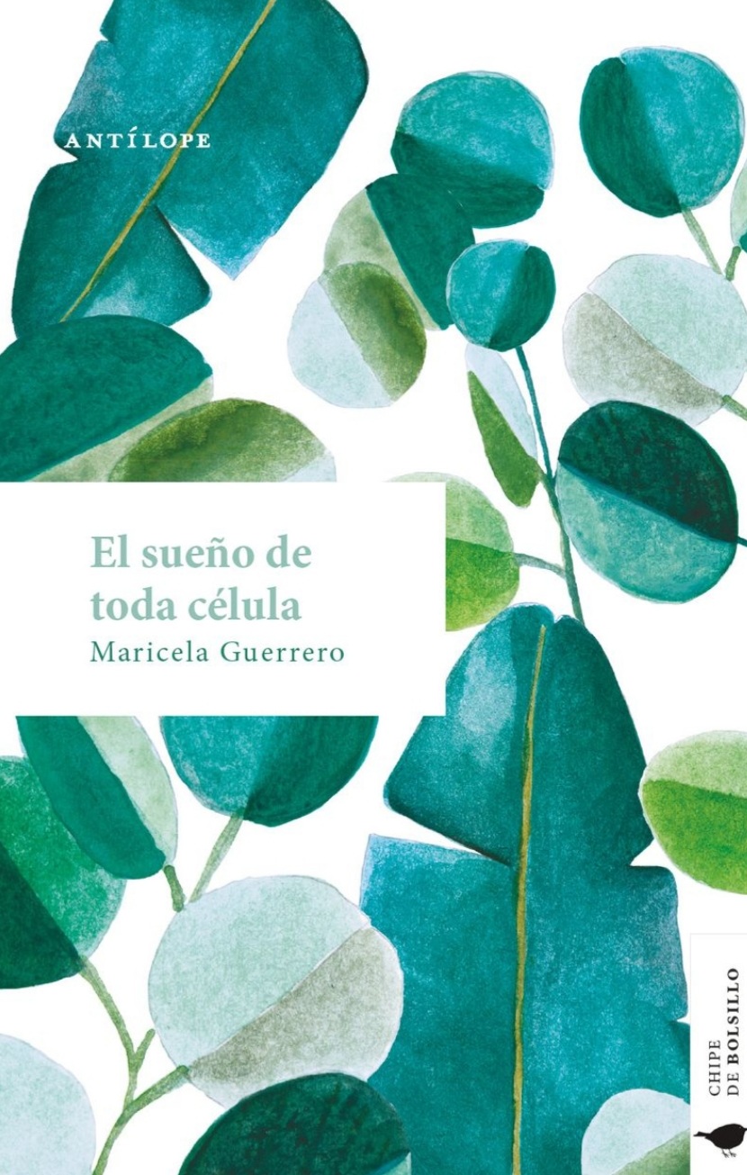 Maricela Guerrero: El sueño de toda célula (Paperback, Español language, Ediciones Antílope)