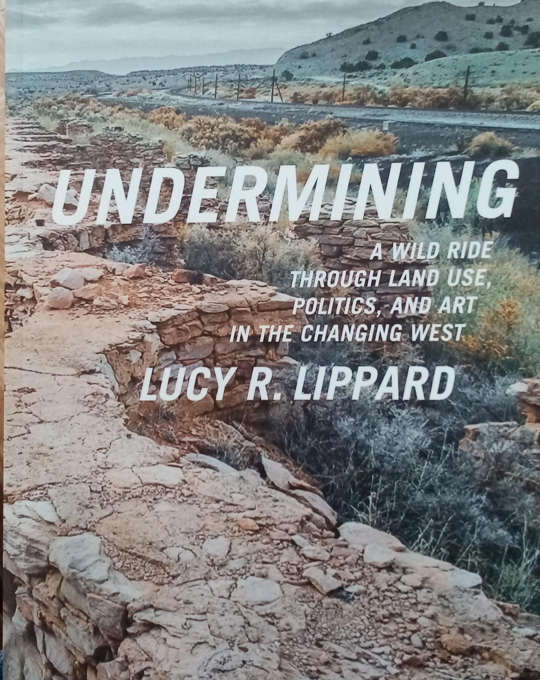 Lucy R. Lippard: Undermining (2013)