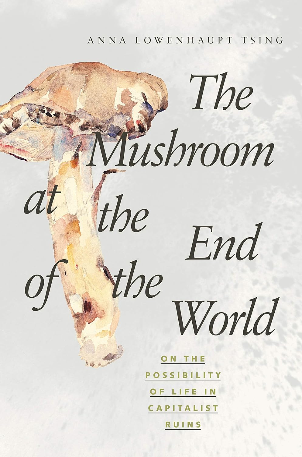 Anna Lowenhaupt Tsing: The Mushroom at the End of the World (2015)