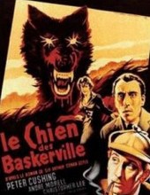 Arthur Conan Doyle: Le Chien des Baskerville (French language, 2010, Au Fil des Lectures)