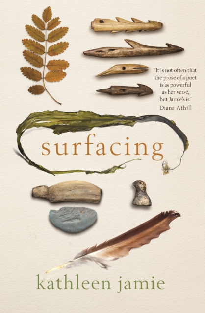 Kathleen Jamie: Surfacing (Hardcover, 2019, Sort of Books)